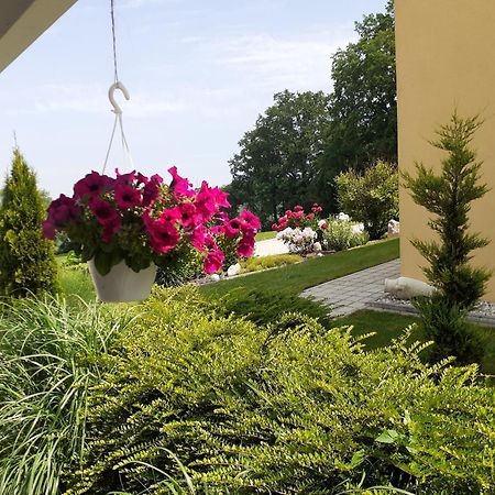 Villa Casa Sol-Rural Residence Near Linz Katsdorf エクステリア 写真