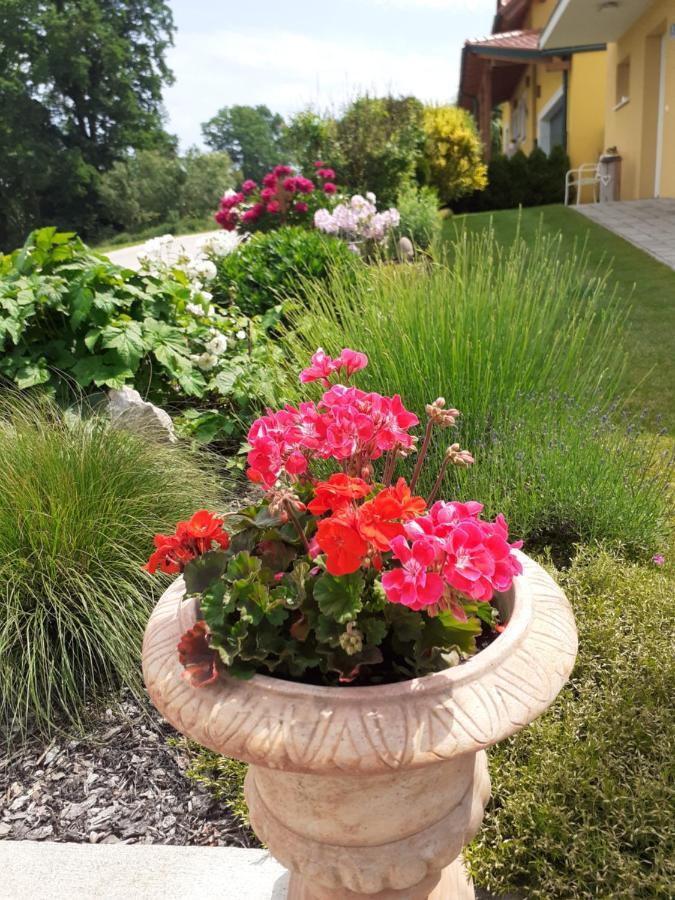 Villa Casa Sol-Rural Residence Near Linz Katsdorf エクステリア 写真